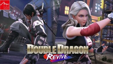 Double Dragon Revive|Double Dragon Revive|Double Dragon Revive