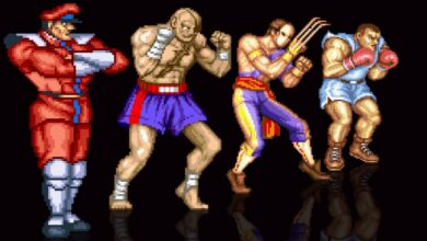 Street Fighter II: The World Warrior