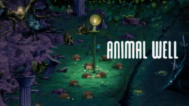 ANIMAL WELL||Animal Well Review