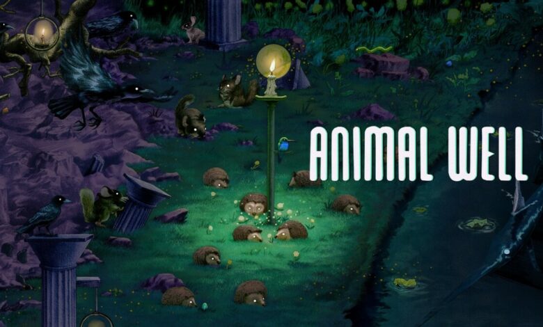 ANIMAL WELL||Animal Well Review