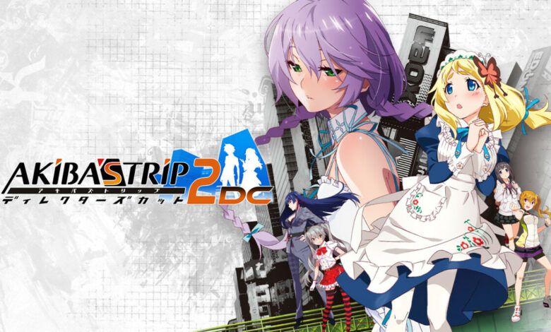 Akiba's Trip: Undead & Undressed Director's Cut