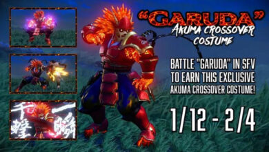 Akuma Garuda Street Fighter V