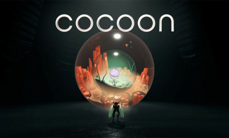 Cocoon|Cocoon Box