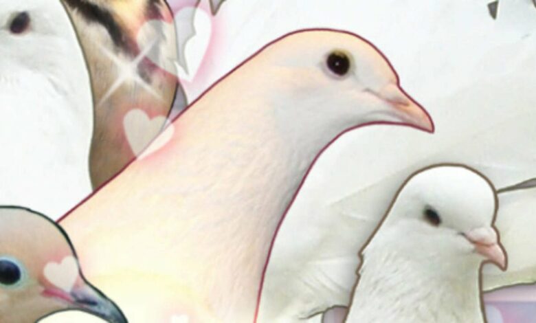 Hatoful Boyfriend