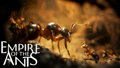 Empire of the Ants