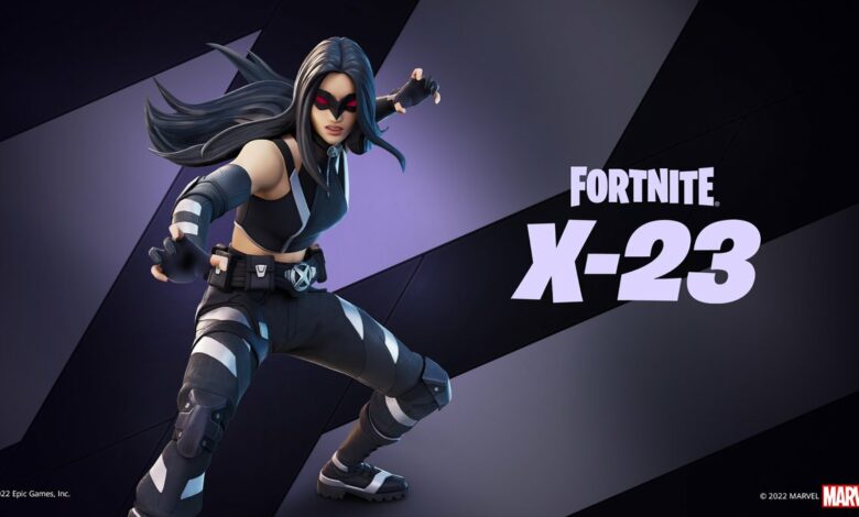 Fortnite X-23