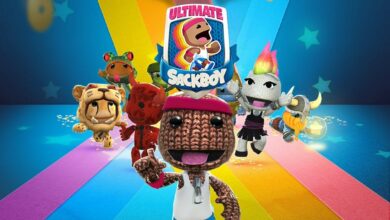 Ultimate Sackboy