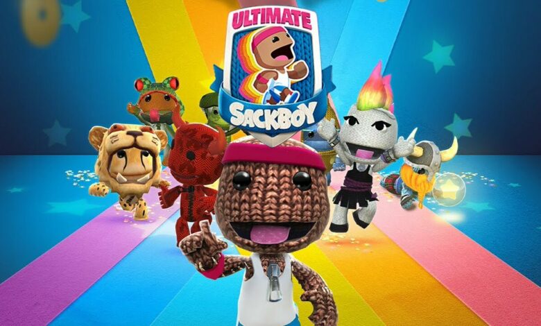 Ultimate Sackboy