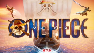 Fortnite One Piece