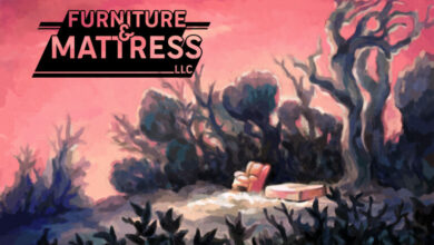 Furniture & Mattress