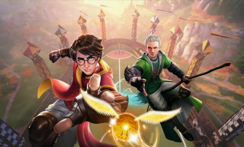 Harry Potter: Campeões do Quadribol