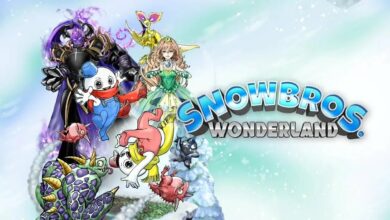 Snow Bros. Wonderland|KILL KNIGHT