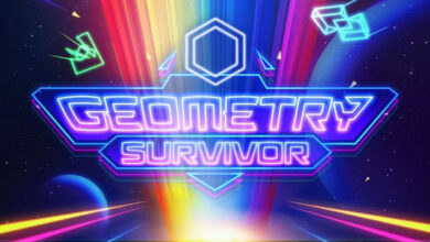 Geometry Survivor