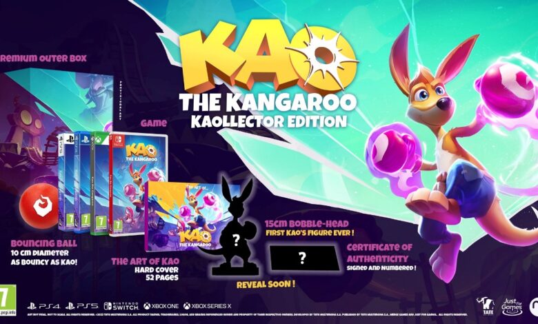 Kao the Kangaroo