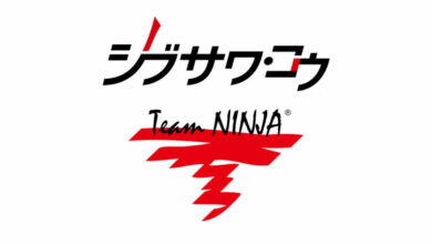 Team Ninja