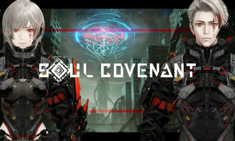 Soul Covenant