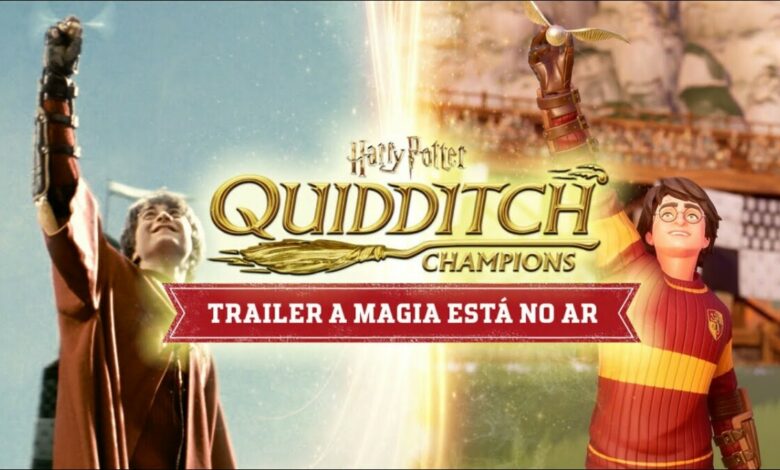 Harry Potter: Campeões do Quadribol