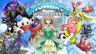 Snow Bros. Wonderland