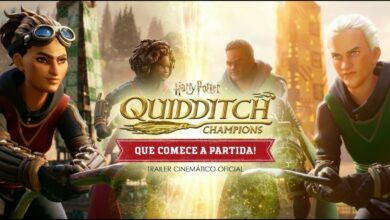 Harry Potter: Campeões do Quadribol