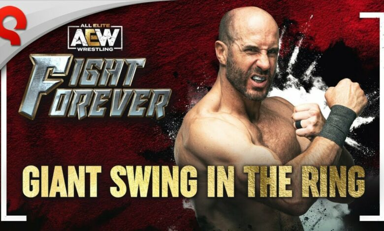 AEW: Fight Forever