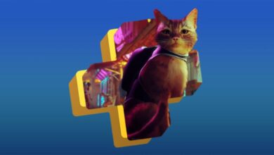 PS Plus Stray