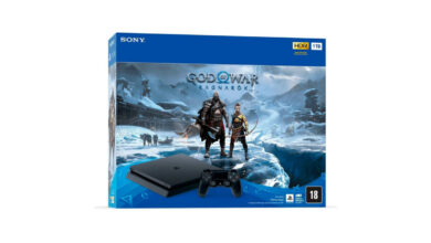 Bundle PS4 God of War Ragnarok