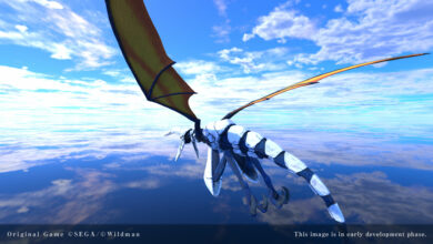 Panzer Dragoon: Voyage Record