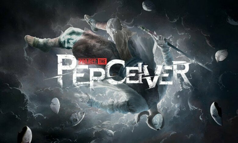 Project: The Perceiver