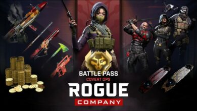 Rogue Company