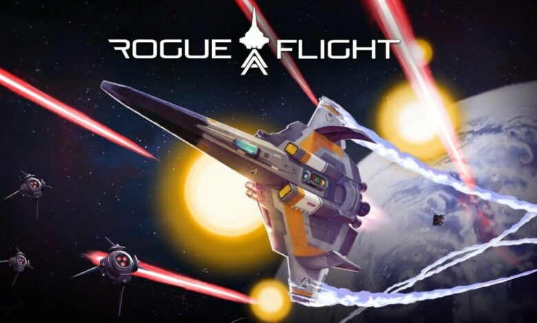 Rogue Flight