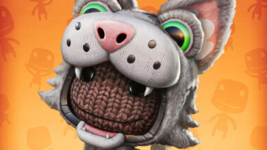 Sackboy Gato