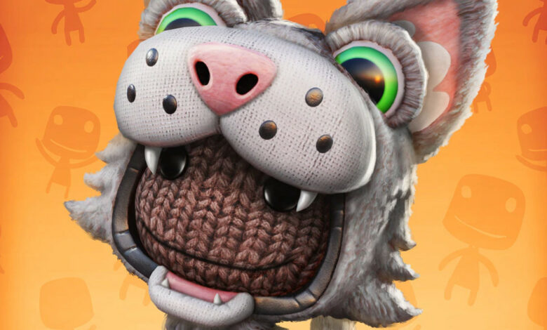 Sackboy Gato