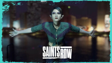 Saints Row Customização