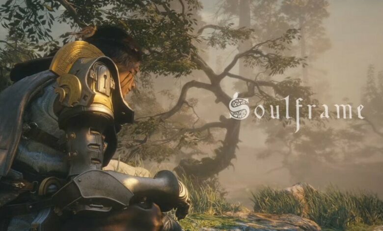 Soulframe