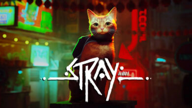 Stray