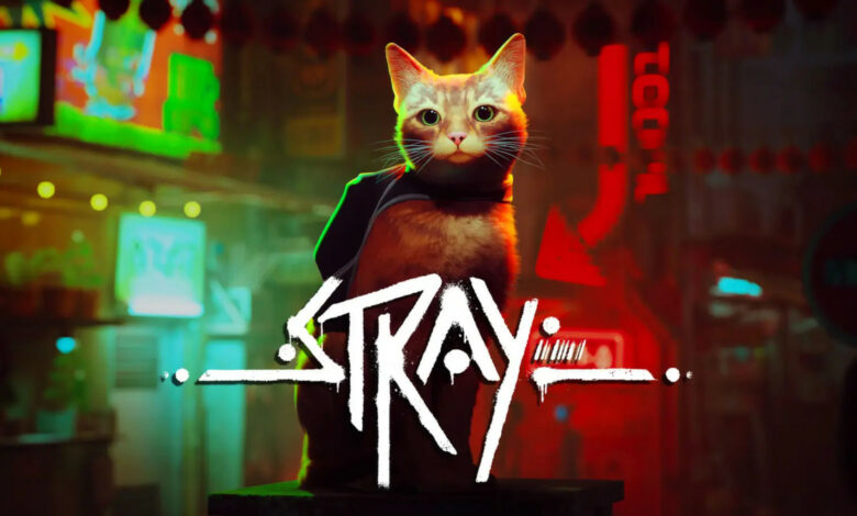 Stray