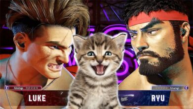 Street Fighter 6 Cat