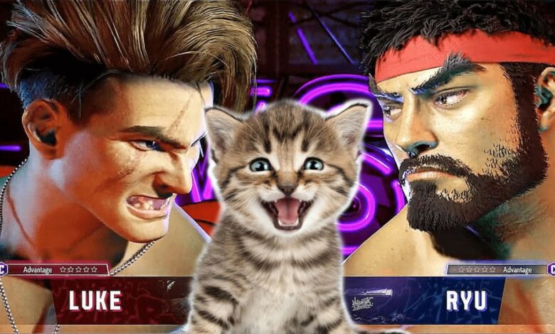 Street Fighter 6 Cat