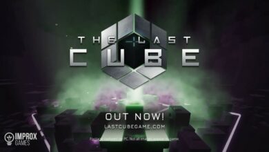 The Last Cube