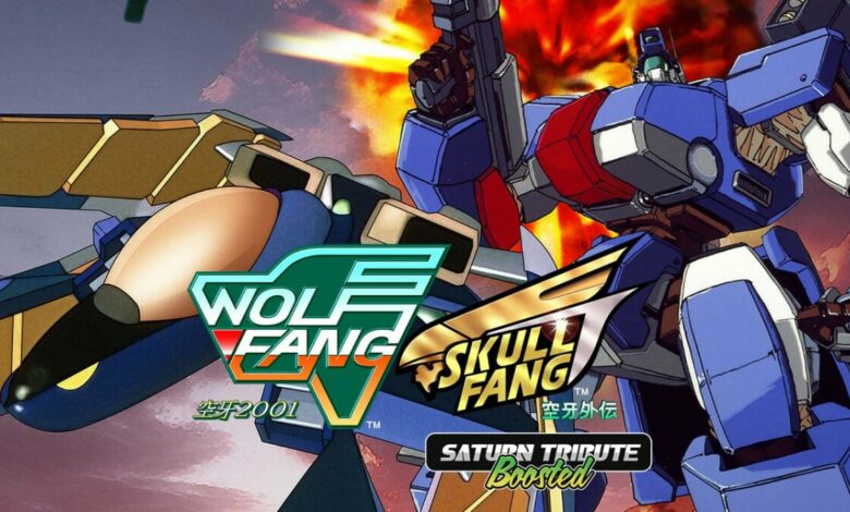 Wolf Fang / Skull Fang Saturn Tribute Boosted|Alkahest|Ari Buktu and the Anytime Elevator|Norse