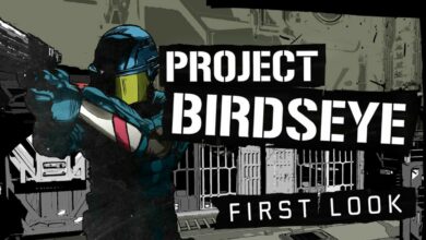 Project Birdseye