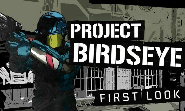 Project Birdseye