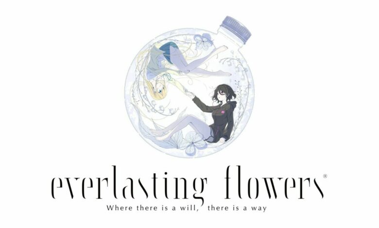 Everlasting Flowers