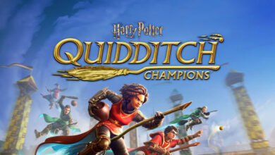 Harry Potter: Campeões do Quadribol