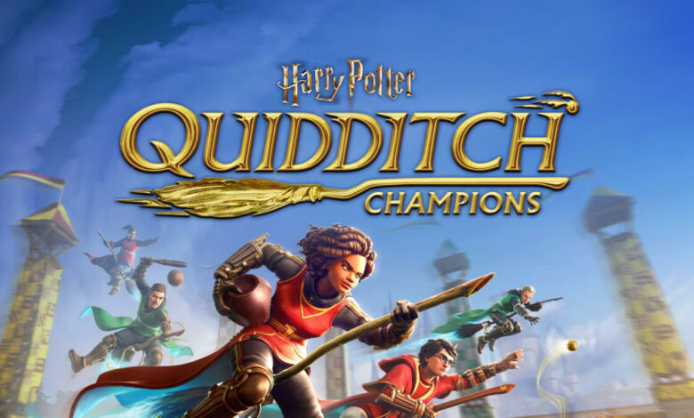 Harry Potter: Campeões do Quadribol