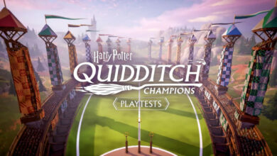 Harry Potter: Campeões do Quadribol|After Us Review