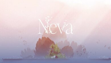 Neva|Neva Box|Neva Review