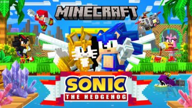 Minecraft Sonic|