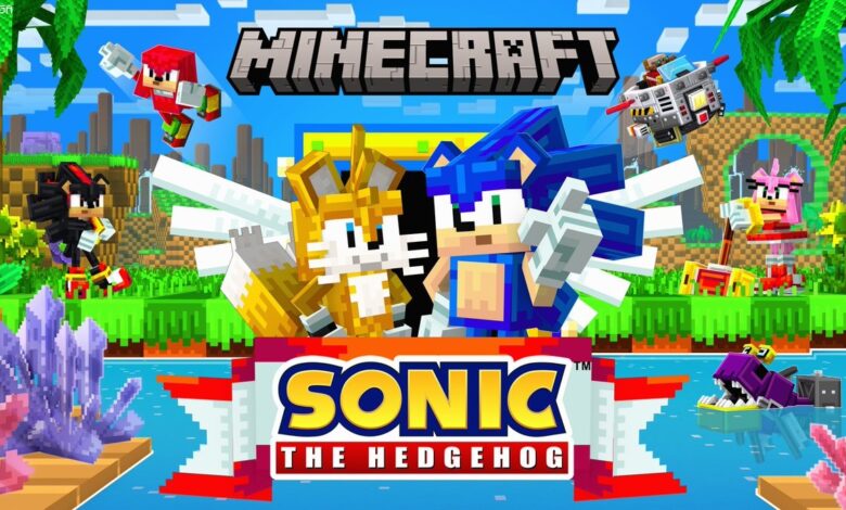 Minecraft Sonic|