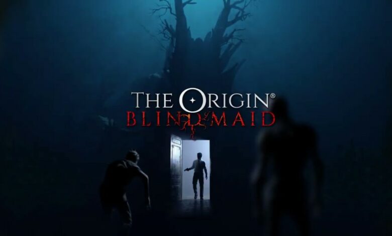 The Origin: Blind Maid